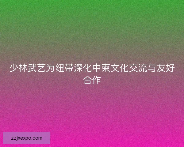 少林武艺为纽带深化中柬文化交流与友好合作