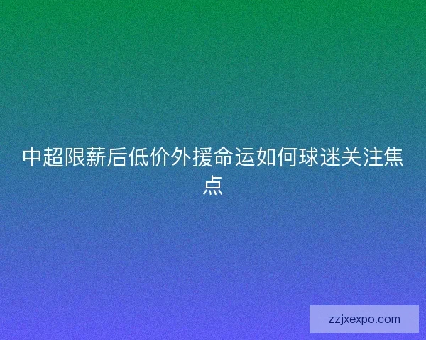 中超限薪后低价外援命运如何球迷关注焦点