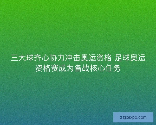 三大球齐心协力冲击奥运资格 足球奥运资格赛成为备战核心任务