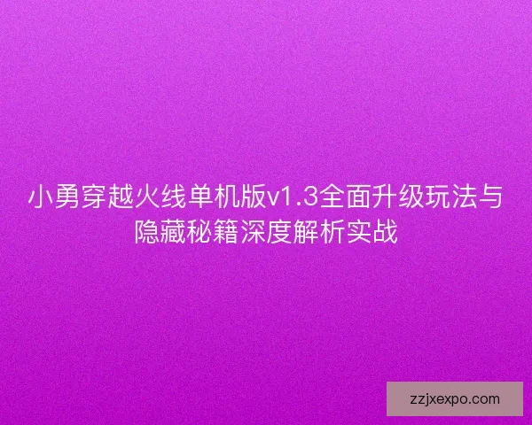 小勇穿越火线单机版v1.3全面升级玩法与隐藏秘籍深度解析实战